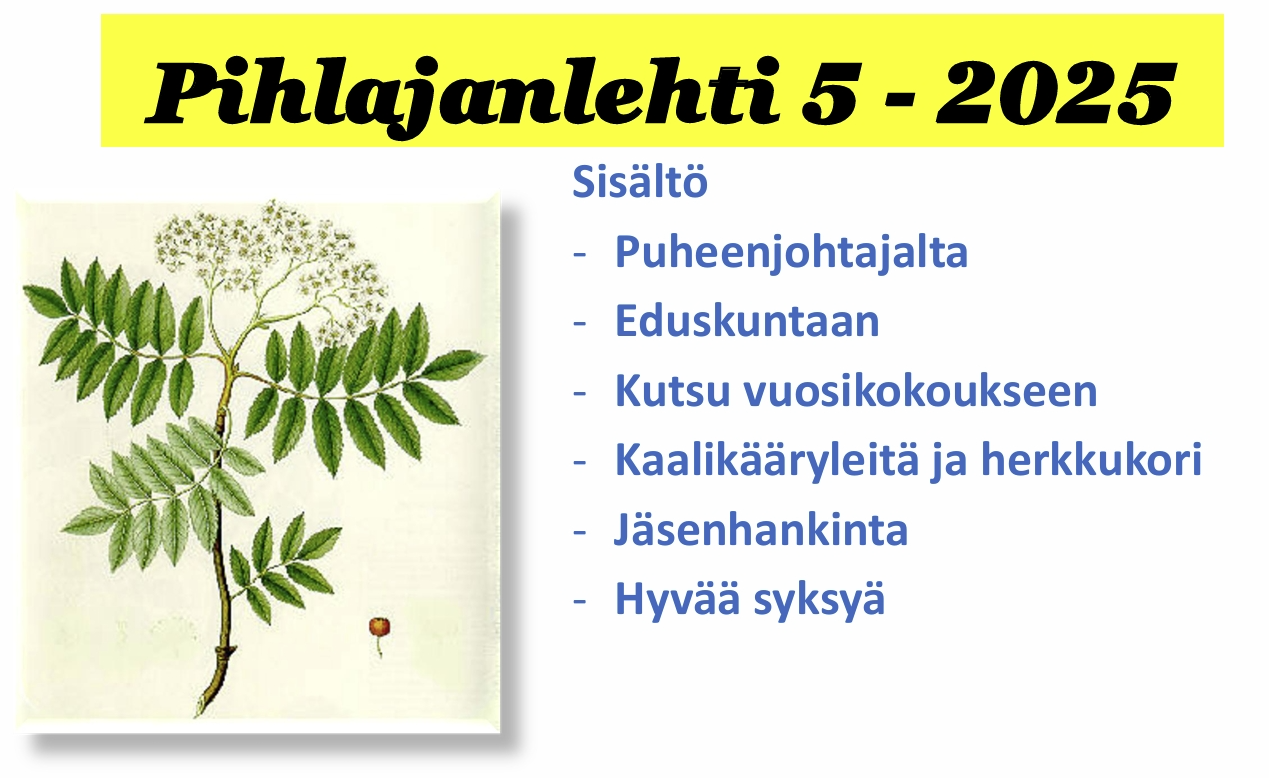 Pihlajanlehti 5-2025