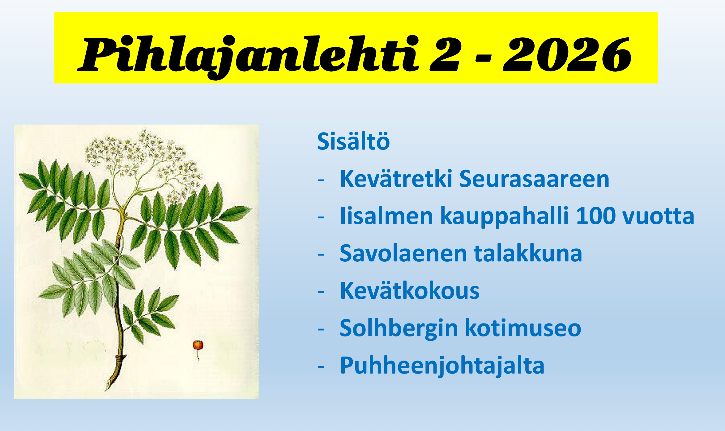 Pihlajanlehti 2 – 2026