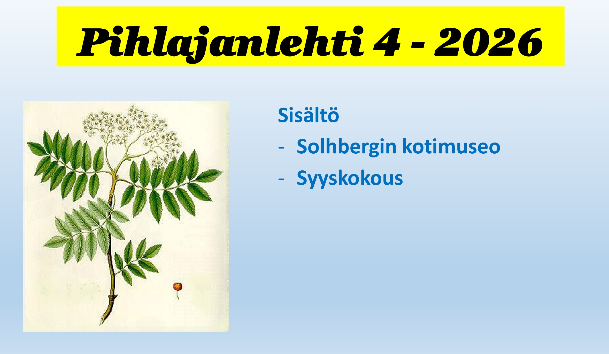 Pihlajanlehti 4-2026