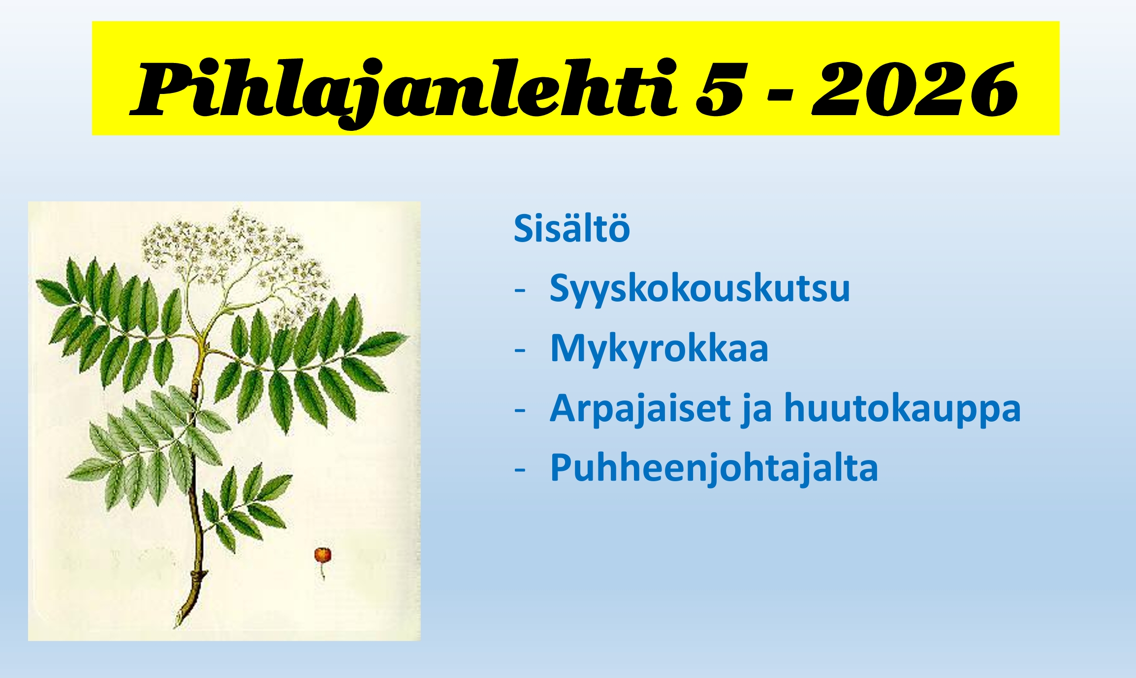 Pihlajanlehti 5-2026